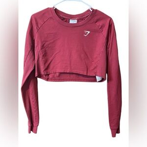 NWOT burgundy gym shark cropped sweatshirt